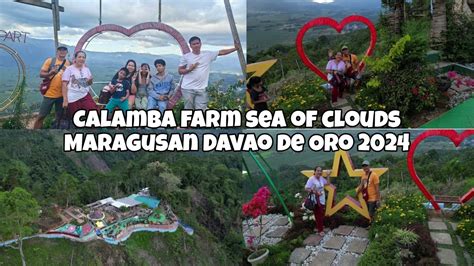 calamba farm sea of clouds maragusan reviews|Calamba Farm Sea of Clouds Maragusan reviews 15.05.2024 .